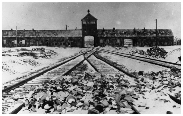Camp d'Auschwitz - Birkenau Q4uJNb-meme-sortie-27-01-45