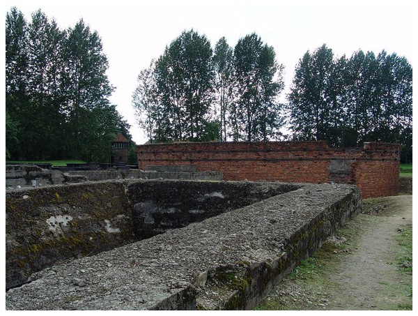 Camp d'Auschwitz - Birkenau S4uJNb-ruines-installation-eau-use