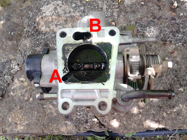 Bo&icirc;tier papillon dessous