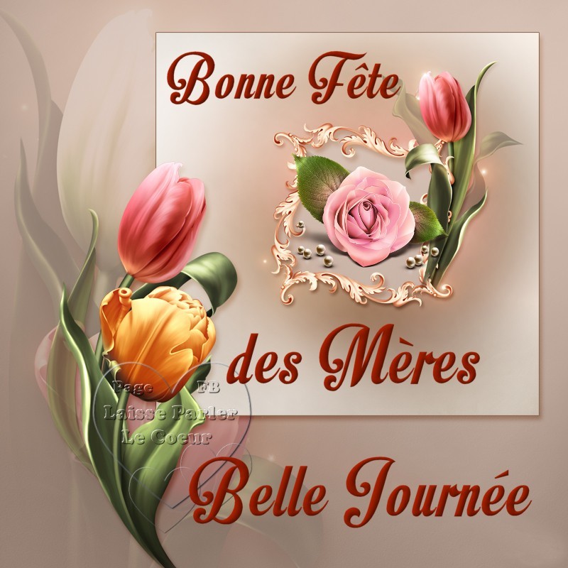 ❤️ ❤️ ❤️ ❤️ ❤️ ❤️ ❤️ ❤️ ❤️ ❤️ ❤️ ❤️ ❤️ ❤️ BONNE FETE AUX MAMANS !