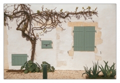 La Flotte - Photo14_14