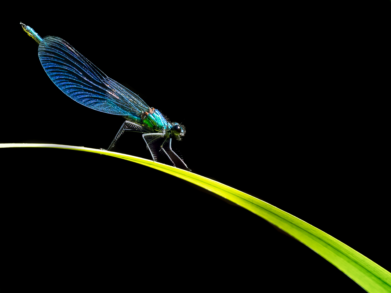 5ikYNb-MLN-WEB-2022-06-05-6248ret