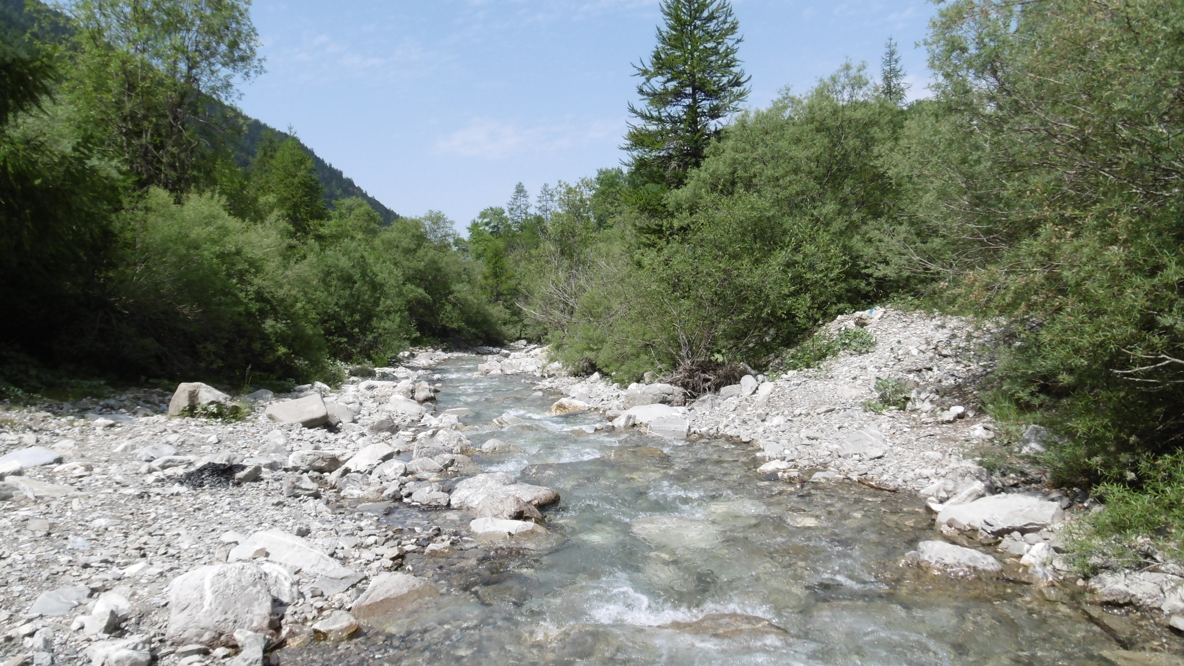 Pique-nique &agrave; le rivi&egrave;re ! Samedi 25/06 &agrave; 10h30