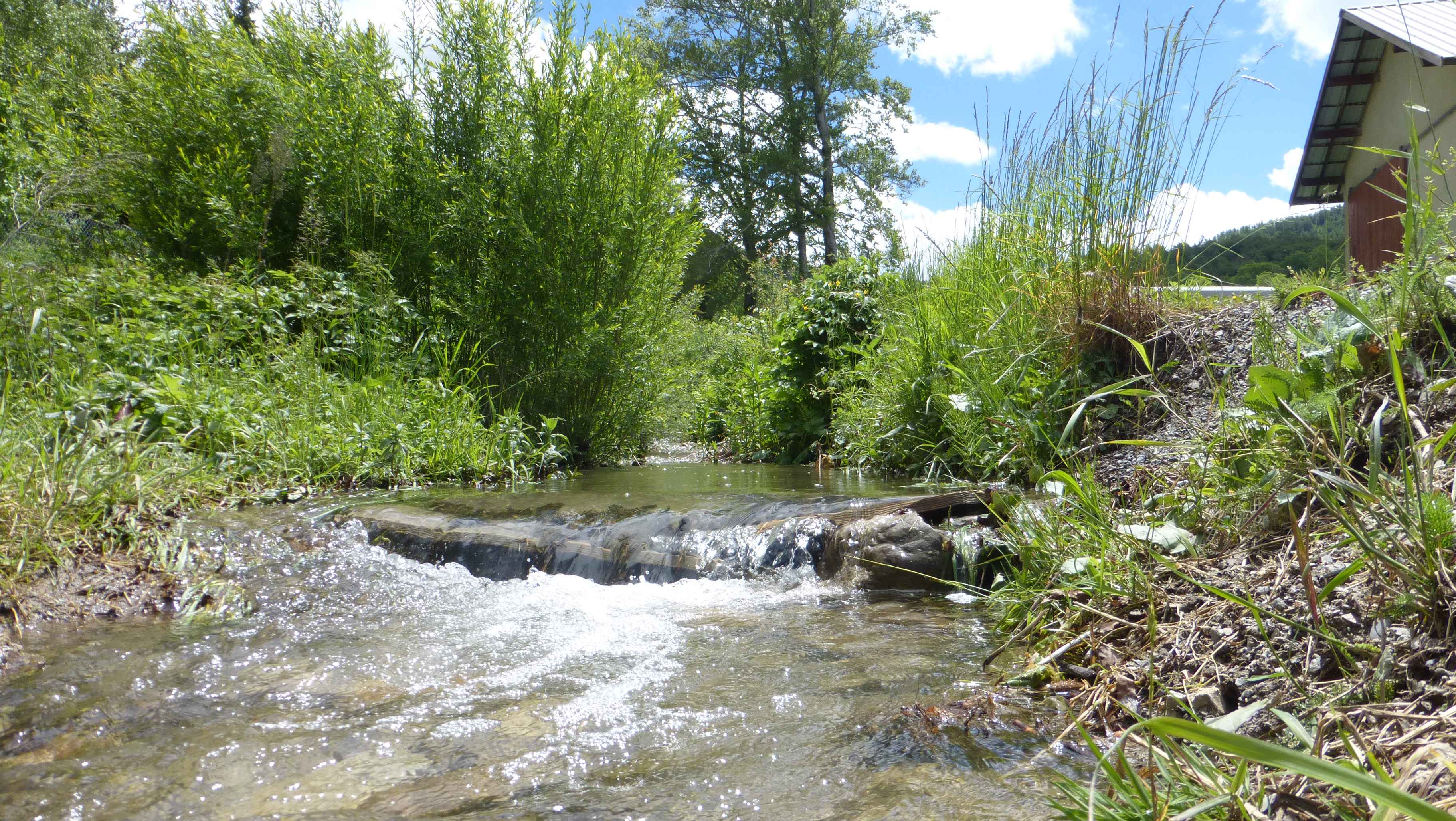 Marche active autour d' Ancelle 05260