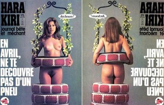 Collection Hara-Kiri, journal bête et méchant [cbz]