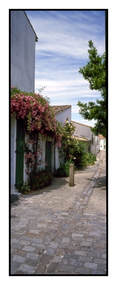 St Martin en r - img507