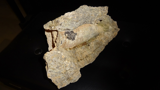Fósil de esponja.Sierra de Cazorla.Cruz del Muchacho.DSC02629(reducida)