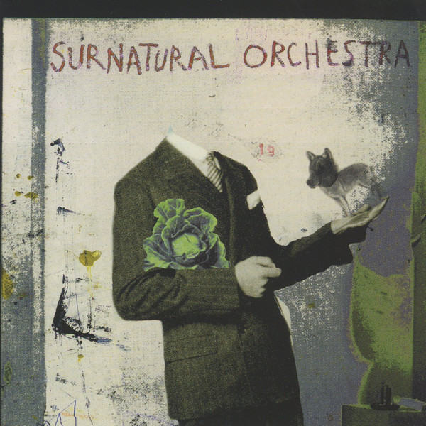 Surnatural Orchestra ? Surnatural Orchestra