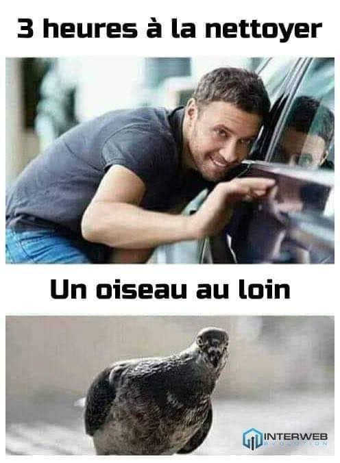 278029690_4996455583808196_2963575655062129152_n