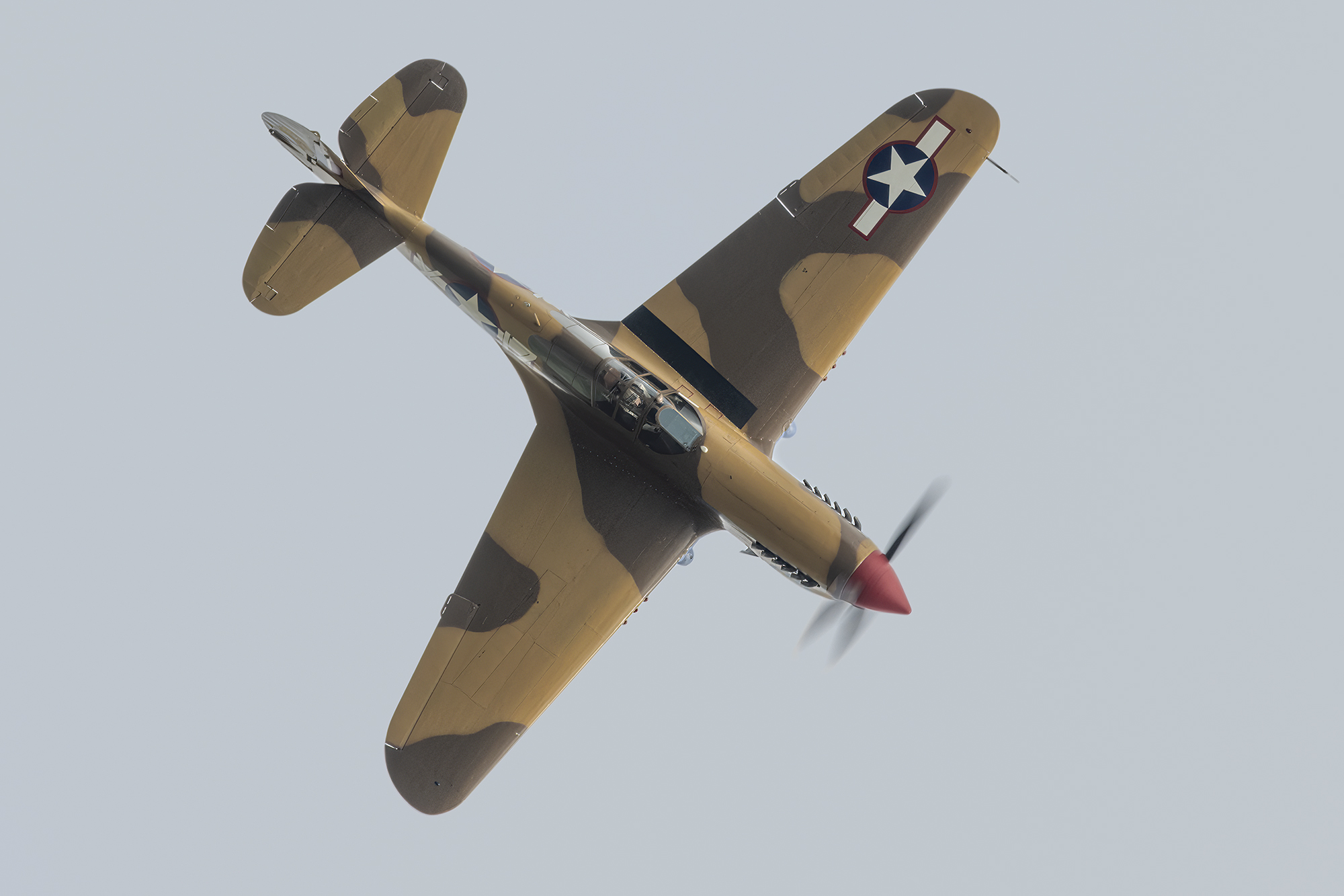 Curtiss P-40_D8D0830