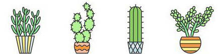 Liens sur les Cactus- Plantes grasses et succulentes - Page 3 2210300437159215618038475