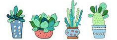 Liens sur les Cactus- Plantes grasses et succulentes 2210300437179215618038483