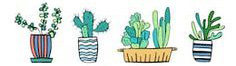 Liens sur les Cactus- Plantes grasses et succulentes 2210300437179215618038484