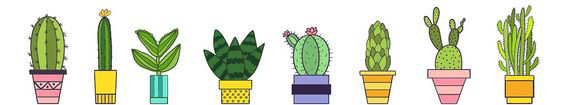Liens sur les Cactus- Plantes grasses et succulentes - Page 4 2210300437389215618038489