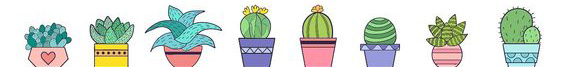 Liens sur les Cactus- Plantes grasses et succulentes - Page 4 2210300437399215618038492