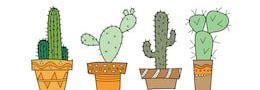 Liens sur les Cactus- Plantes grasses et succulentes - Page 2 2210300437399215618038493