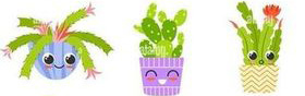 Liens sur les Cactus- Plantes grasses et succulentes - Page 2 2210300904269215618039003