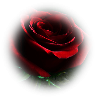 Mon image