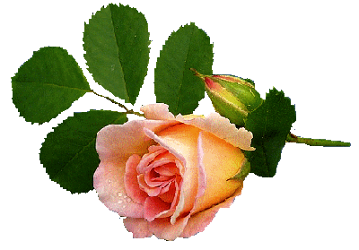 Mon image