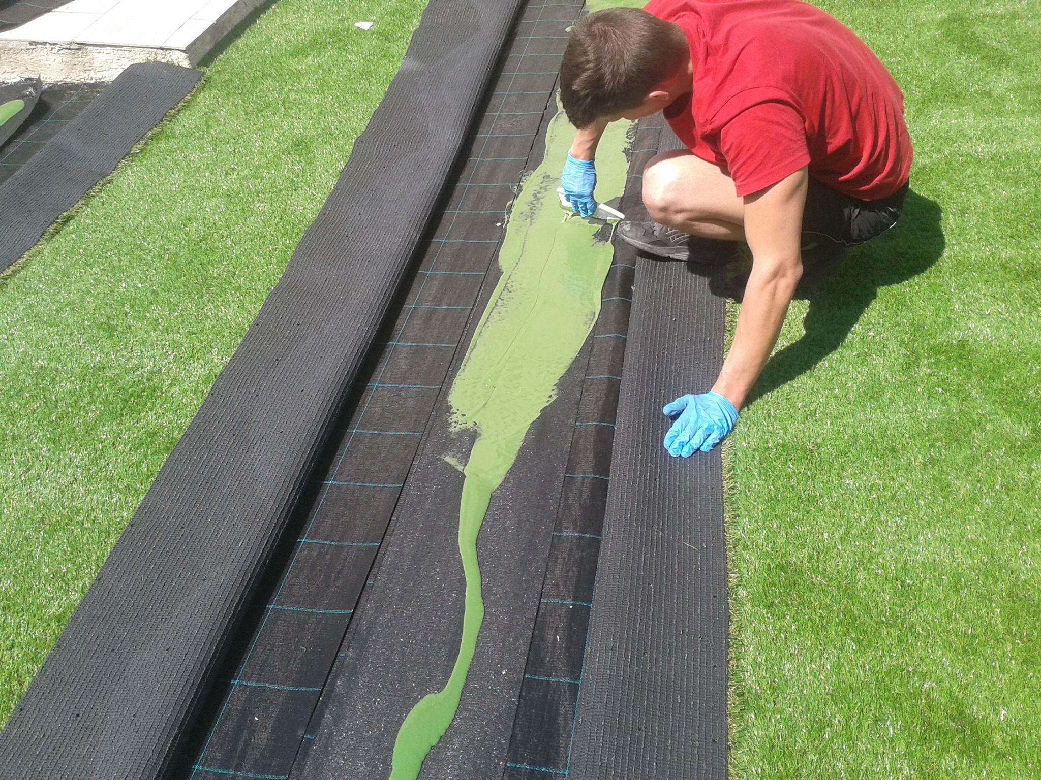 11140786_403056719875331_6249269008627103910_o