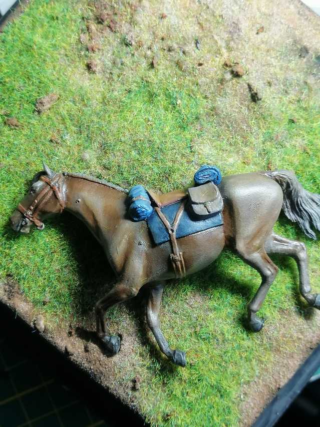 313296548_5966984753341097_4962330317201721152_n