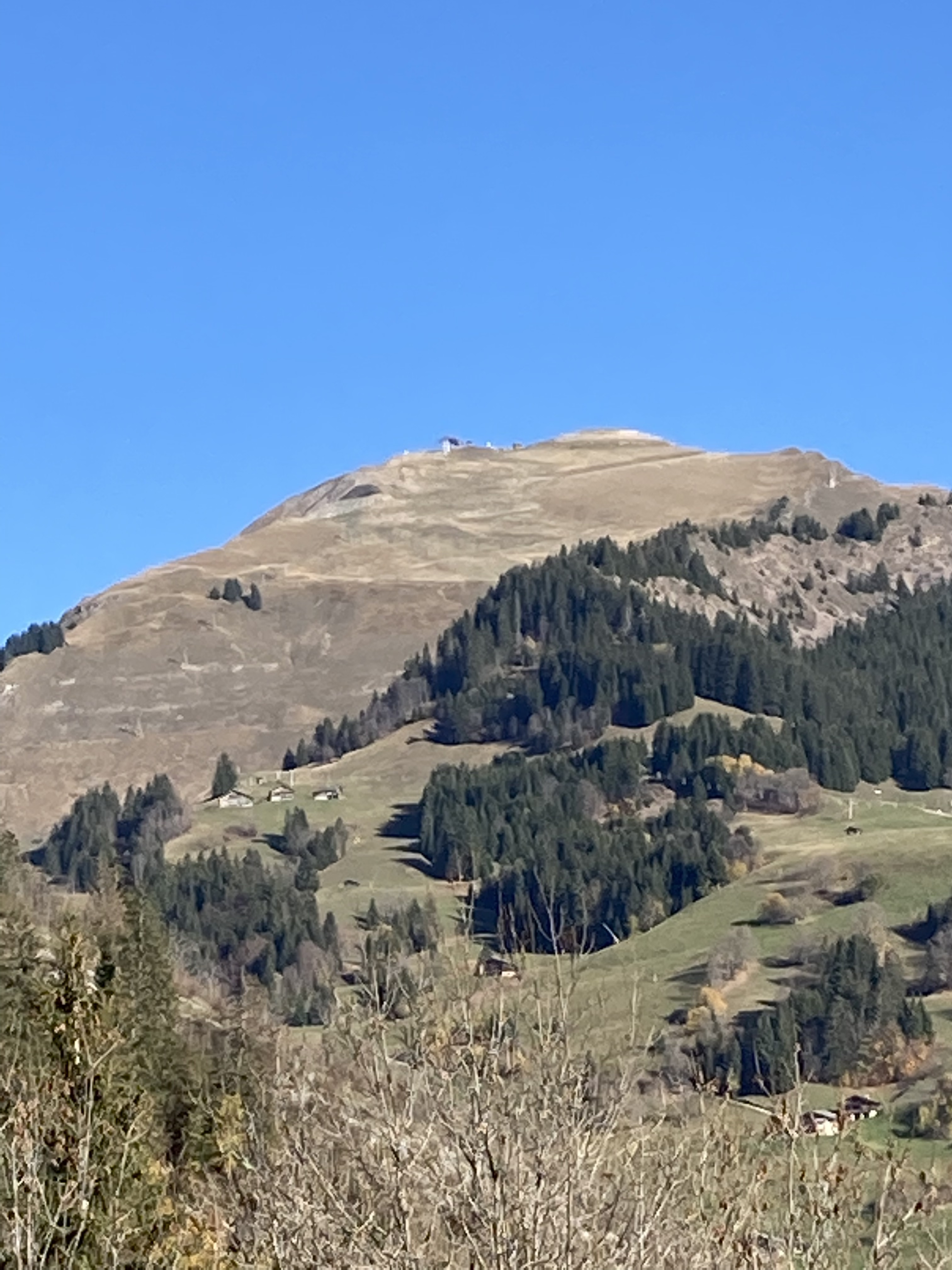 1349A2C4-9763-49F5-9BA0-74D56098C72A.