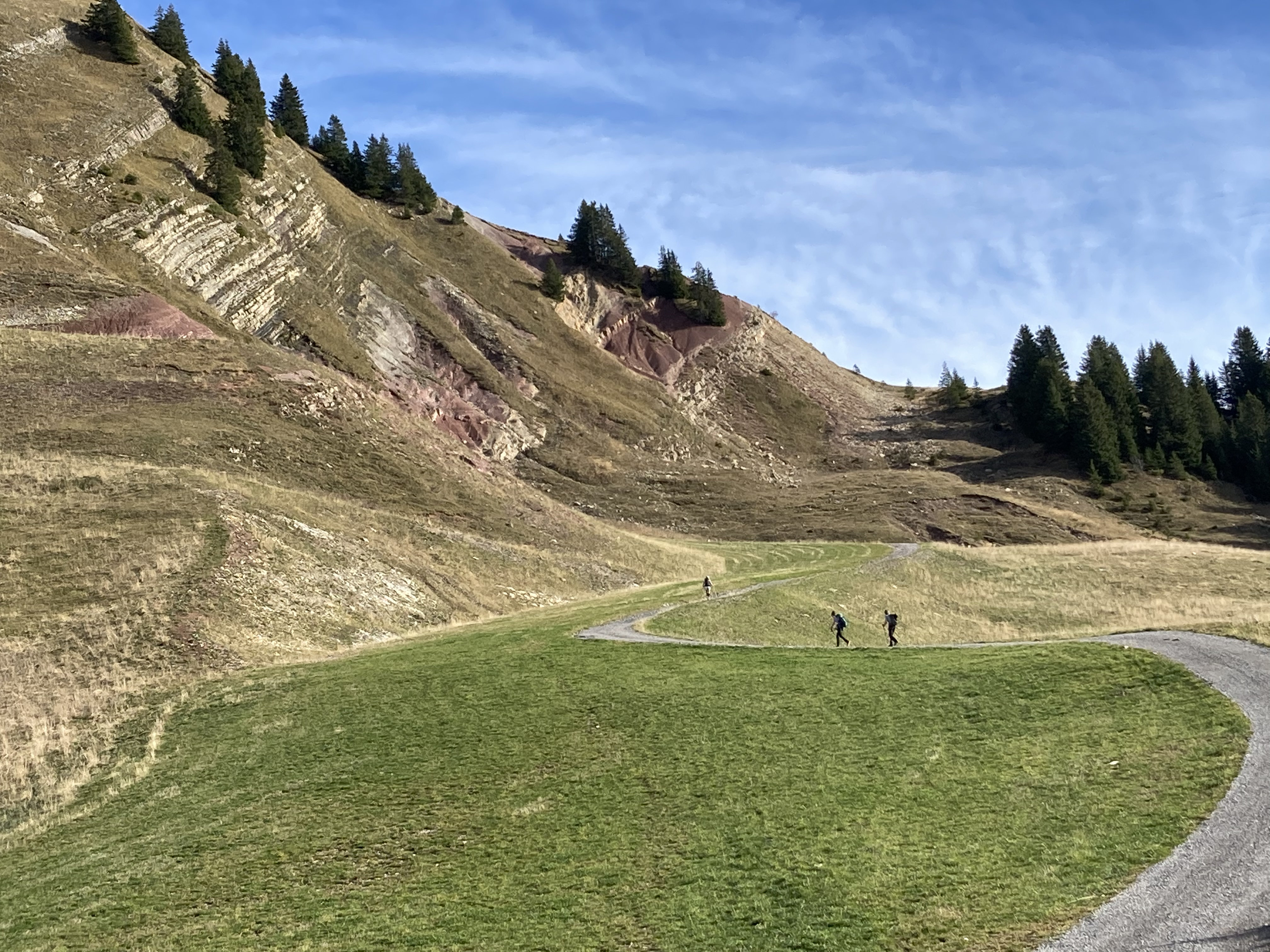 D593D154-8F55-4FC1-8329-D5A8A74BCF82.