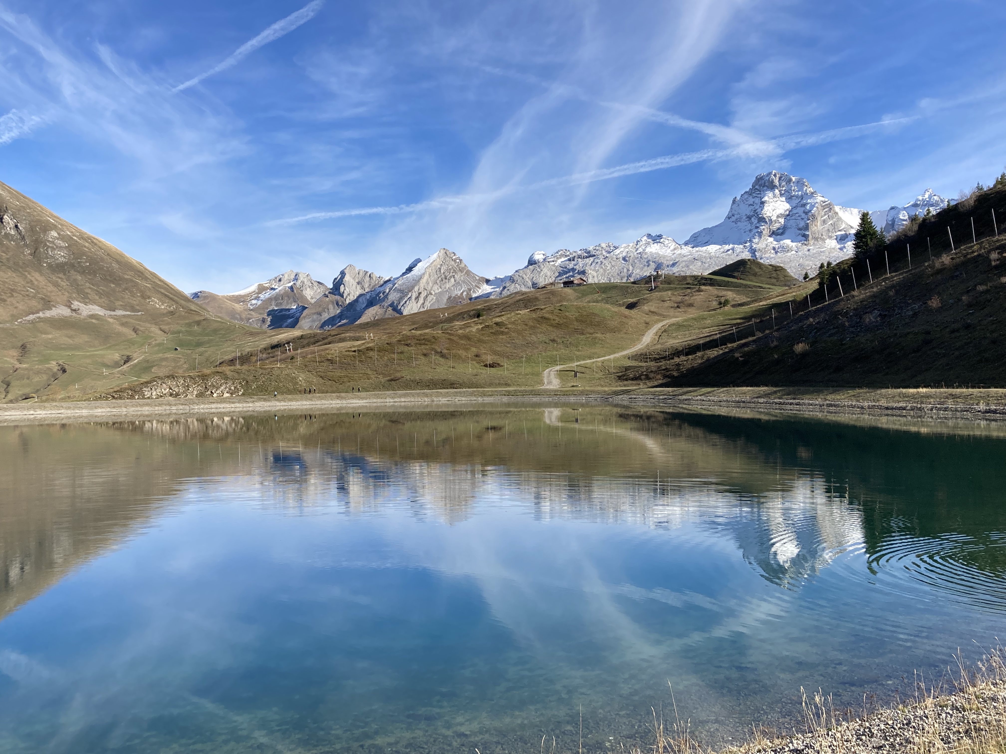 12647EF4-B6DC-4155-A425-8CDFA4159E23.