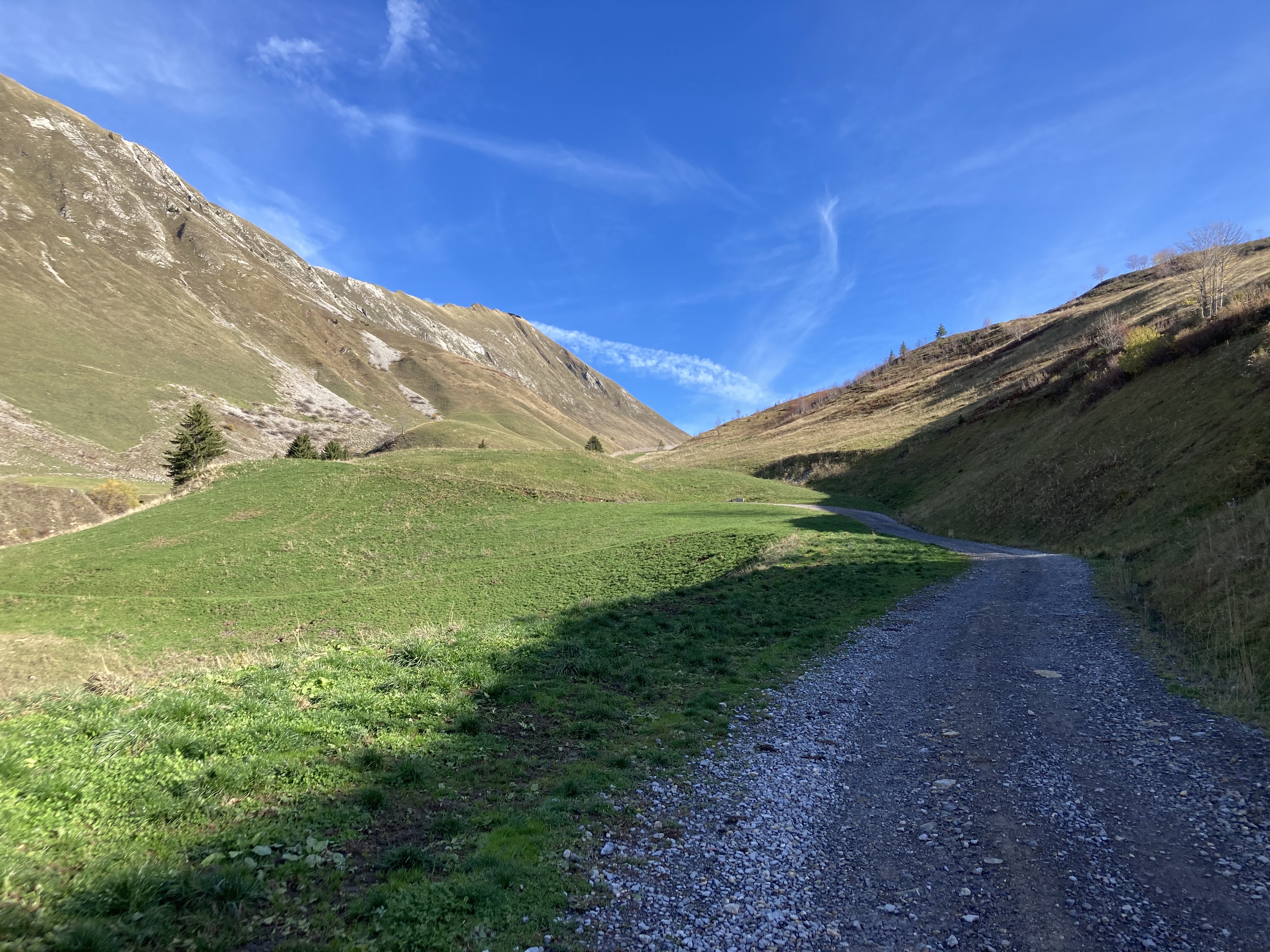 C9B4DFCF-8049-48FE-AF8A-C0AF14C33D9E.