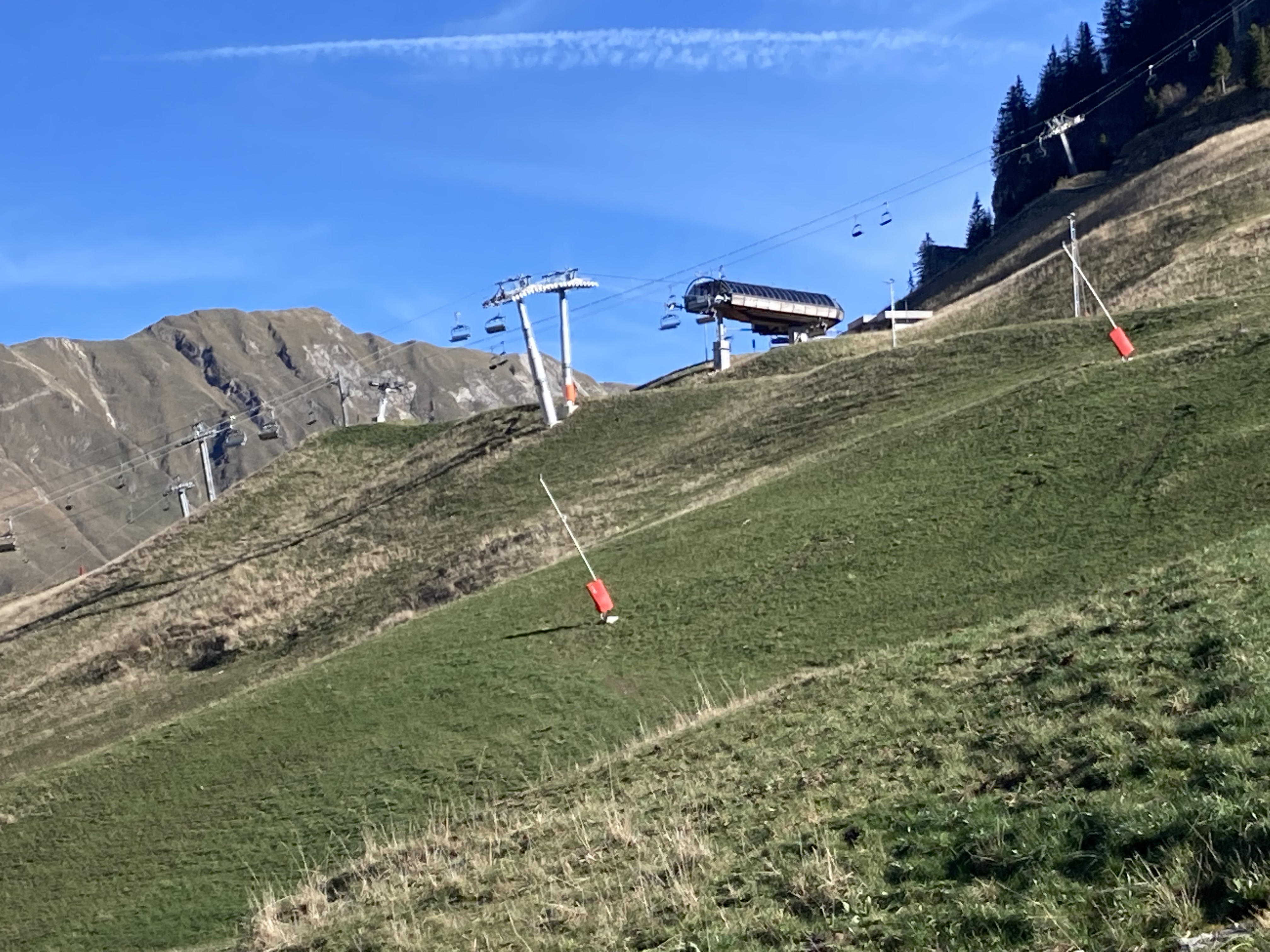 58FB25AD-045F-43CE-B8EA-D0C28DD0D964.