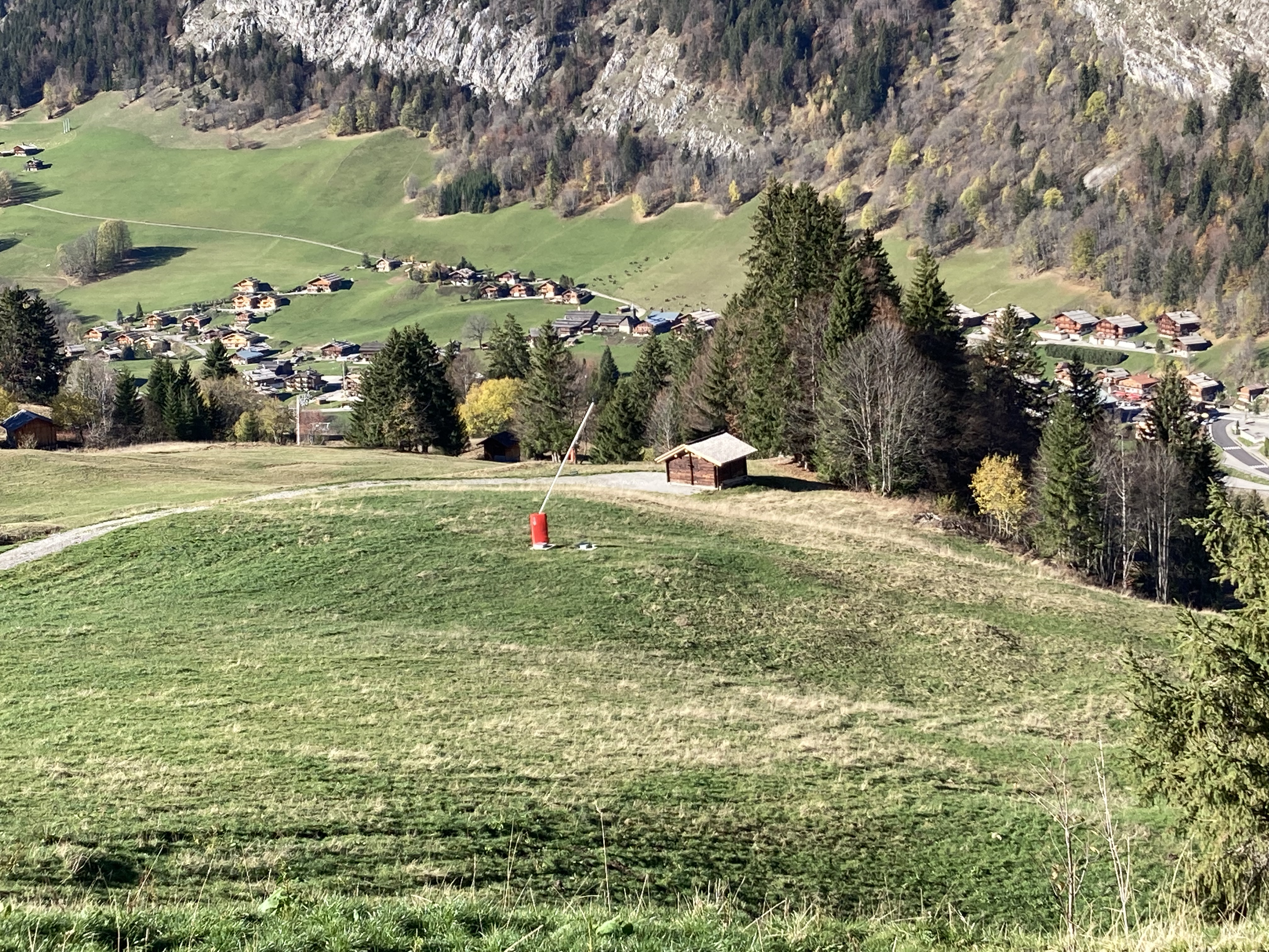 DD33732B-5519-4131-B63D-9889BFD7A07B.