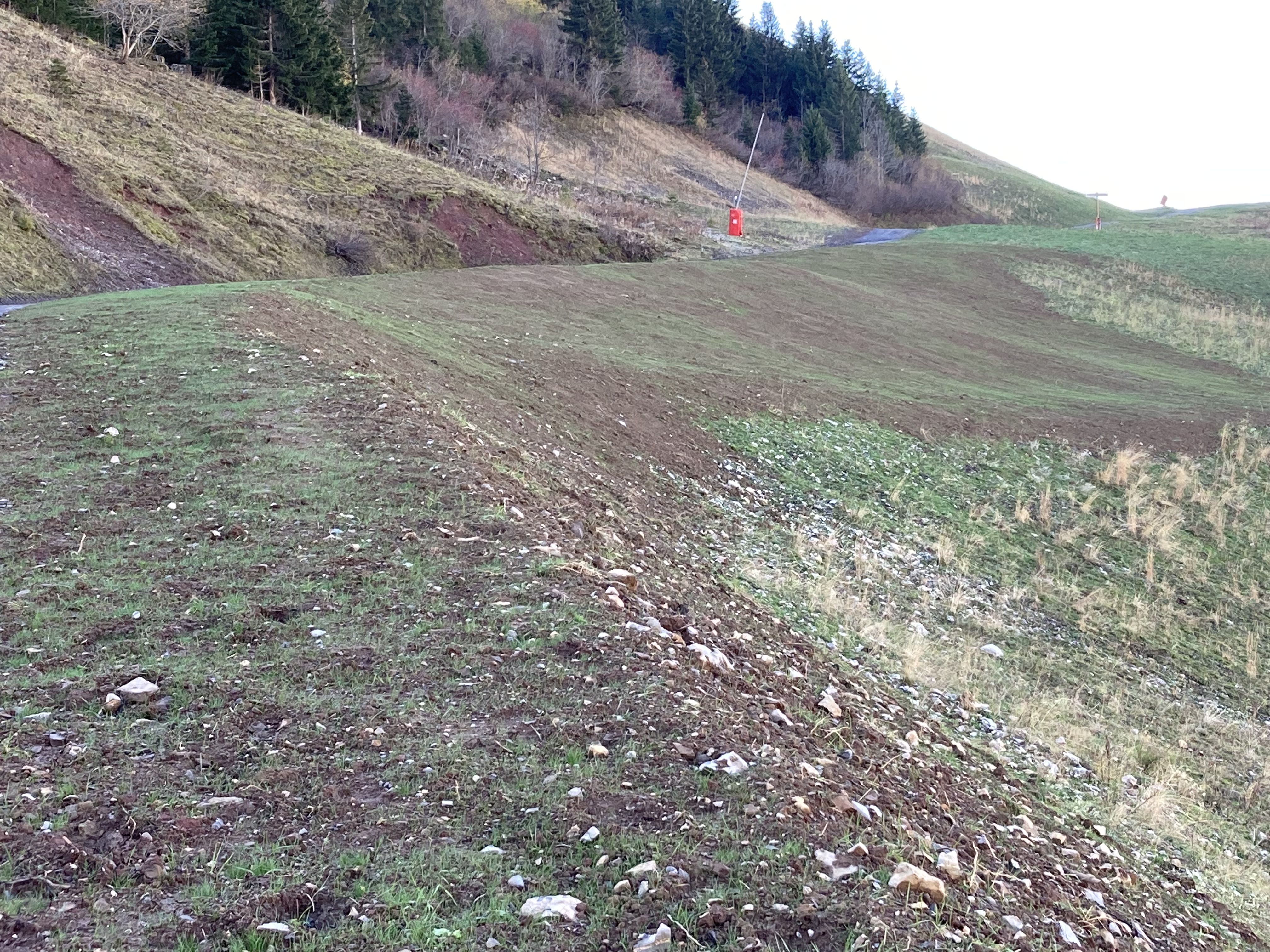 482F7EDF-B63C-4D05-9CE5-7BE776BD4712.