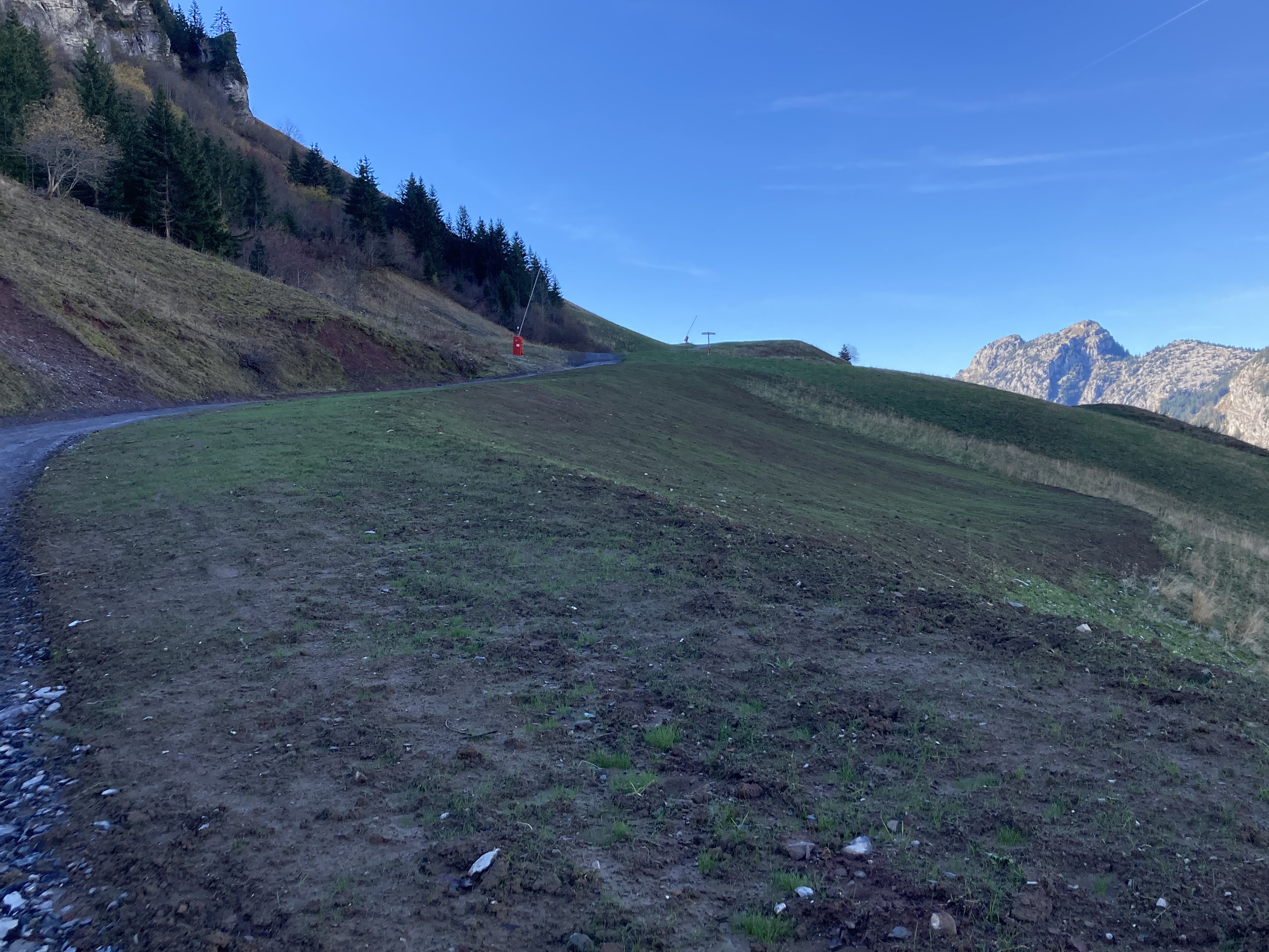 F656B944-1A3A-4B23-916B-5E5FC139745A.