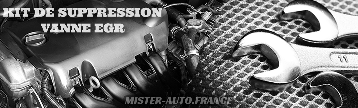 Bouchon Suppression Clapet Volet Admission BMW M57 V6 235cv - Équipement  auto