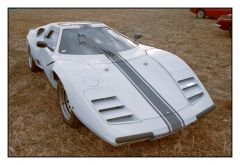 Classic cars L'Houmeau - Photo33_33