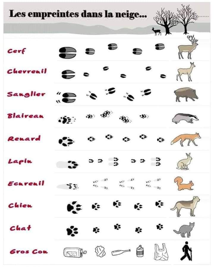 318216734_675453847470492_8361519836837360901_n