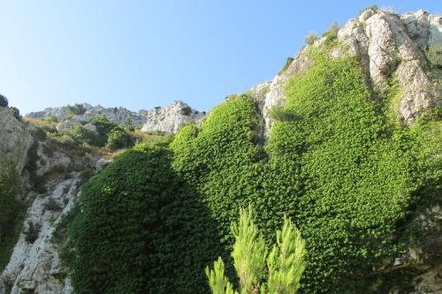 La grande Candelle par le vallon de Mestralet