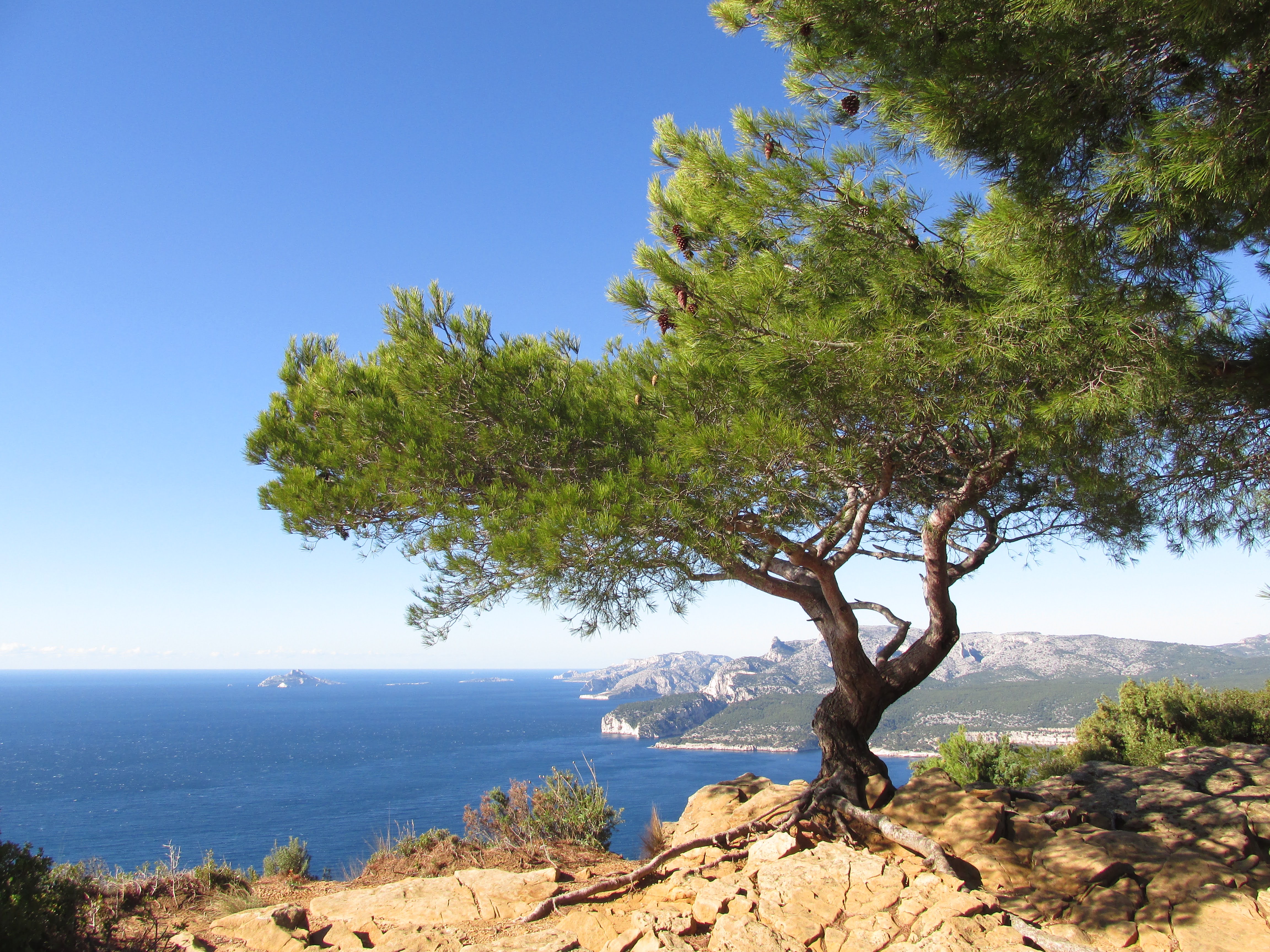 Cap canaille