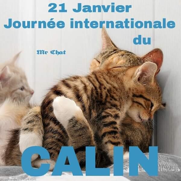 journée mondiale du câlin