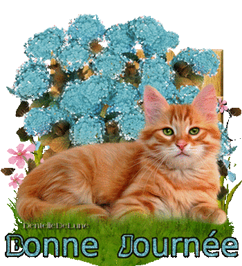 Mon image