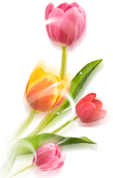 Mon image