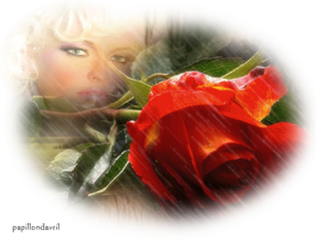 Mon image