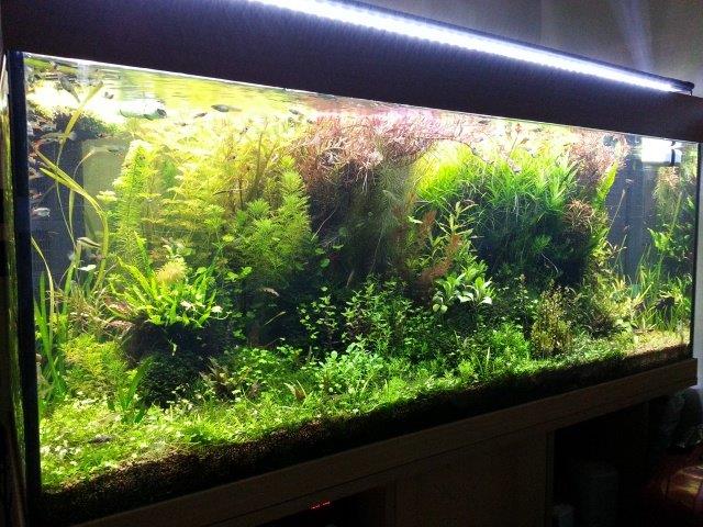 11940120131220192708