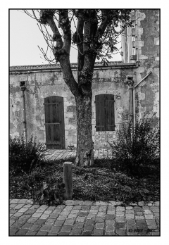 Ile de r - N&B - Nouveau Post-traitement - 0024_14