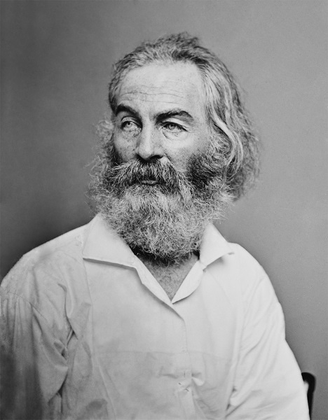 V1iOPb-692.jpg
