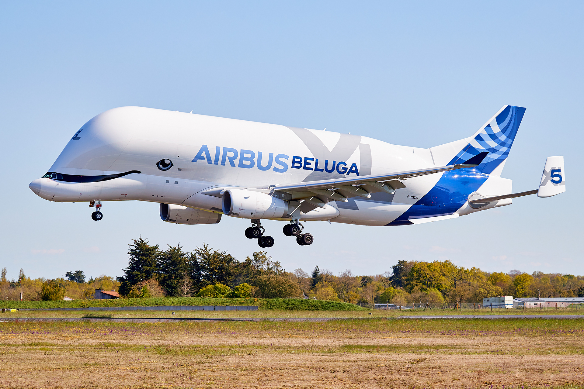 [17/04/20231] Airbus A330-743L (F-GXLN) Airbus Transport International: Beluga "XL" 5 Cp2OPb-GRX-7020
