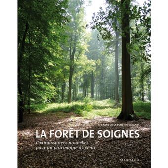 image perso
