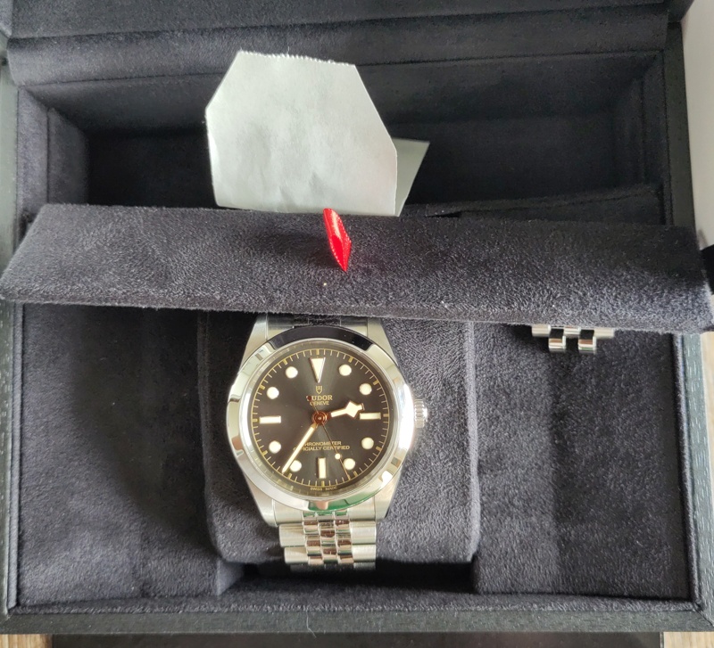 Tudor Black Bay One version 2023 31/36/39/41mm : infos, questions & liens - Page 9 23050502423016407118171306
