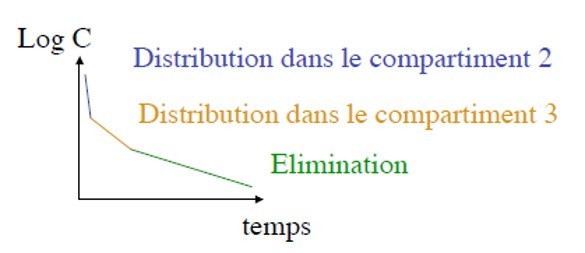 distribution1 