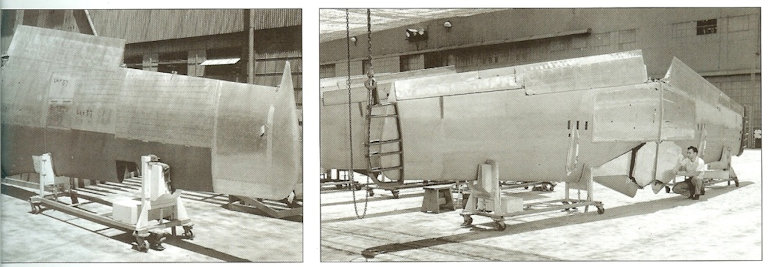 N.A. P-51D Puttied Wing